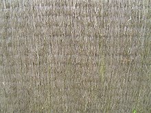 220px-Straw reed mat good for thatched roof.jpg