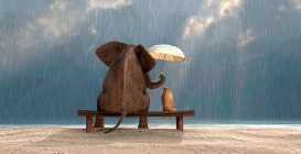 Elephant-dog-kindness.jpg