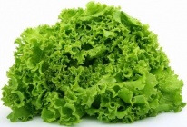 Salat1.jpg