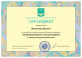 Широков Д Сертифікат учасника КУБГ.jpg