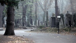 Кладовище3.jpg