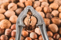 99431411-cracking-the-walnut-using-a-nut-cracker.jpg