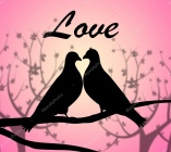 Depositphotos 112195524-stock-photo-love-doves-represents-compassionate-tenderness.jpg