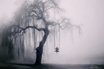 The weeping willow ii by ineedchemicalx-d5v4fao.jpg