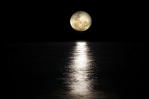 Moon-.jpg