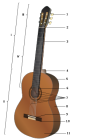 280px-Acoustic guitar numbered.svg.png
