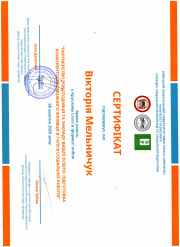 Сертифікат Мельничук.jpg