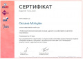 Сертифікат Міліціян4.jpg