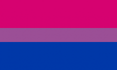 Bisexual Pride Flag.svg.png