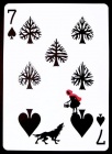 The seven card.jpg