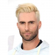 Adam-levene-blonde-hair-for-men.jpg