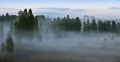 Туман11.jpg