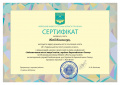 2020 04 13 Сертифікат конференції Забезпечення якості освіти (заповнений) А5 118чол вар03-86 page-0001.jpg