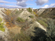 800px-A gully (Budanova Gora) 2.jpg