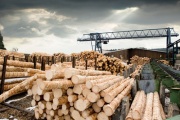 Lumber-industry.jpg