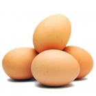 Egg-1.jpg