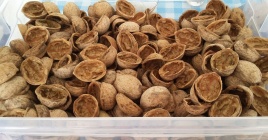 Q-walnuts-shell-craft-ideas-crafts-repurpose-household-items-repurposing-upcycling.jpg
