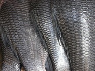 220px-Fish scales.jpg