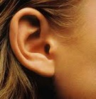 Woman ears.jpg