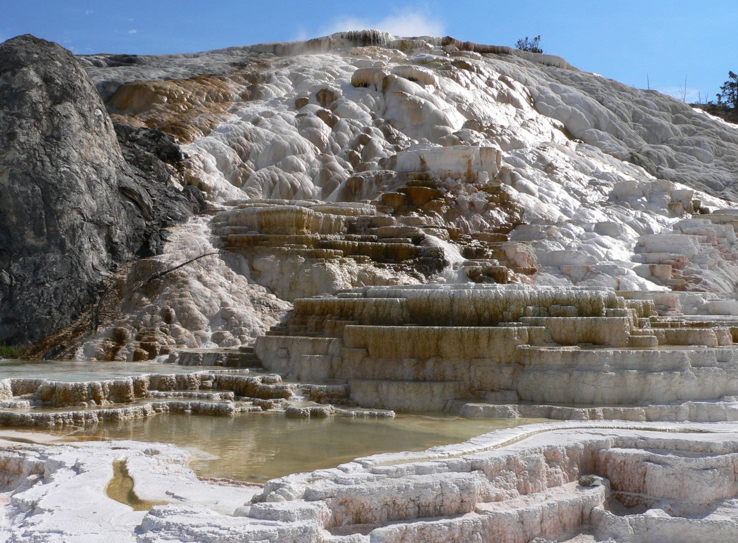 Yellowstone p1100309 rotated.jpg