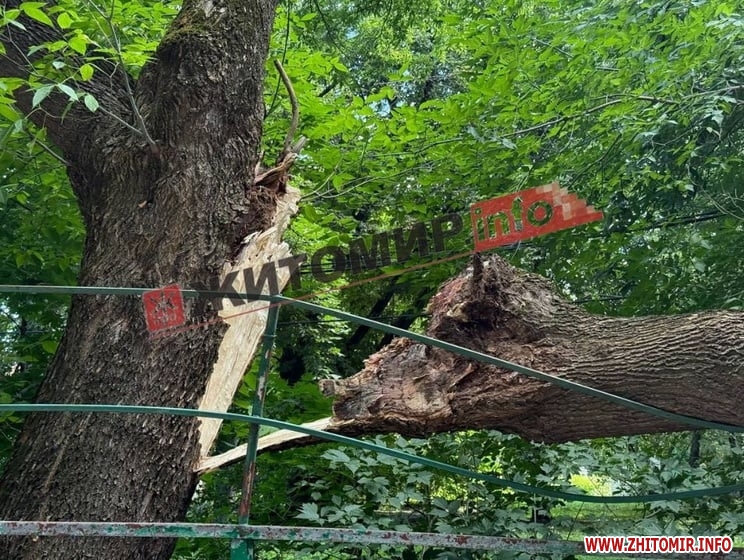 Файл:E27d403592cedee1500c196a5872c62d w859 h569.jpg