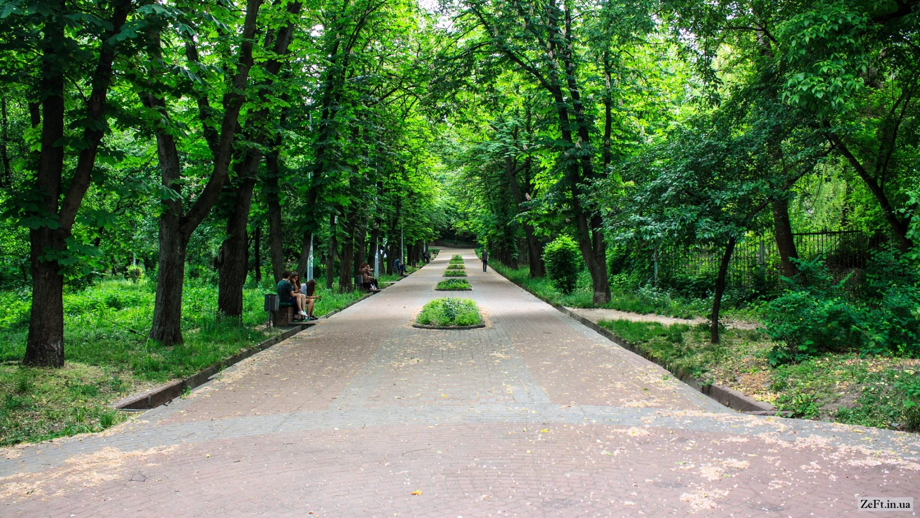 Park-Berezovij-Gaj-Kiyiv-1-18.12.jpg