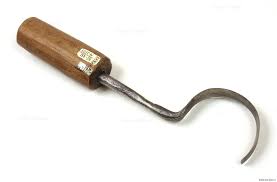 Файл:Images (23ваваа1).jpg