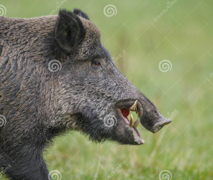 Файл:Знімок екрана 2026-04-16 104637.png