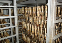 6352c532ce7c8e5b6fa61e897ed744b1 L.jpg