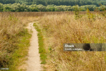 Istockphoto-1439947888-1024x1024.jpg