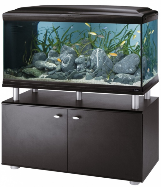 Файл:2366 0.jpg акваріум.jpg