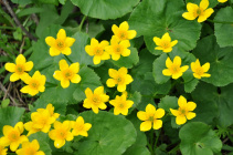 Лотай 13 04 2025 21 38.jpg