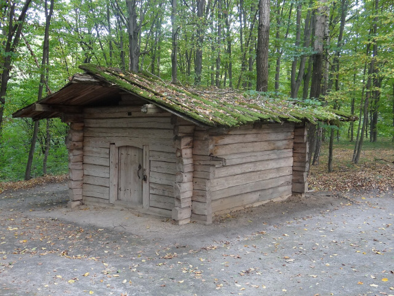 Стебка з села Юрове.JPG