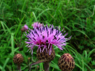 Serpuha 181025 3.jpg