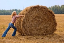 Depositphotos 1251228-stock-photo-haystack-and-girl-on-the.jpg
