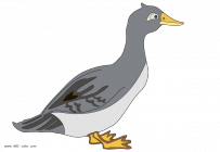 Goose-picture-color.png