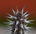 78000343 large 0 3fa27 dcfca8c5 XL.jpg