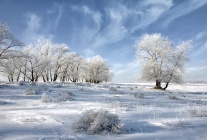 Krasota prirodi zima foto 11.jpg