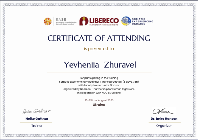 Файл:SE Beginner II 2025.png