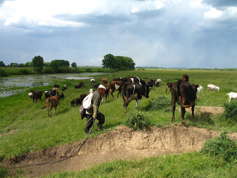 Файл:Бовгар 1324 1233.jpg