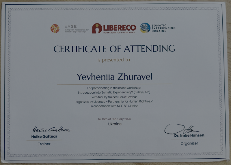 Файл:SE Intro 2025.png