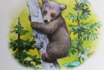 1 48e5872975020fddd1b298eb0085a134 1487761967.jpg