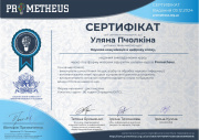 Certificate Пчолкіна НК.jpg