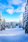 Depositphotos 97621990-stock-photo-winter-landscape-on-the-mountains.jpg