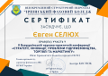 Учасник «Стратегії, інновації, проблеми підприємництва, торгівлі та маркетингу» .png