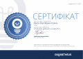Certificate Seliukh ES.jpg