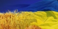 Мініатюра для версії від 11:33, 18 листопада 2017