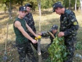 Мініатюра для версії від 20:36, 8 листопада 2017