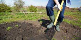 Обкапувати 3.jpeg