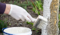 Pobilyuvannya081025 (1).jpg